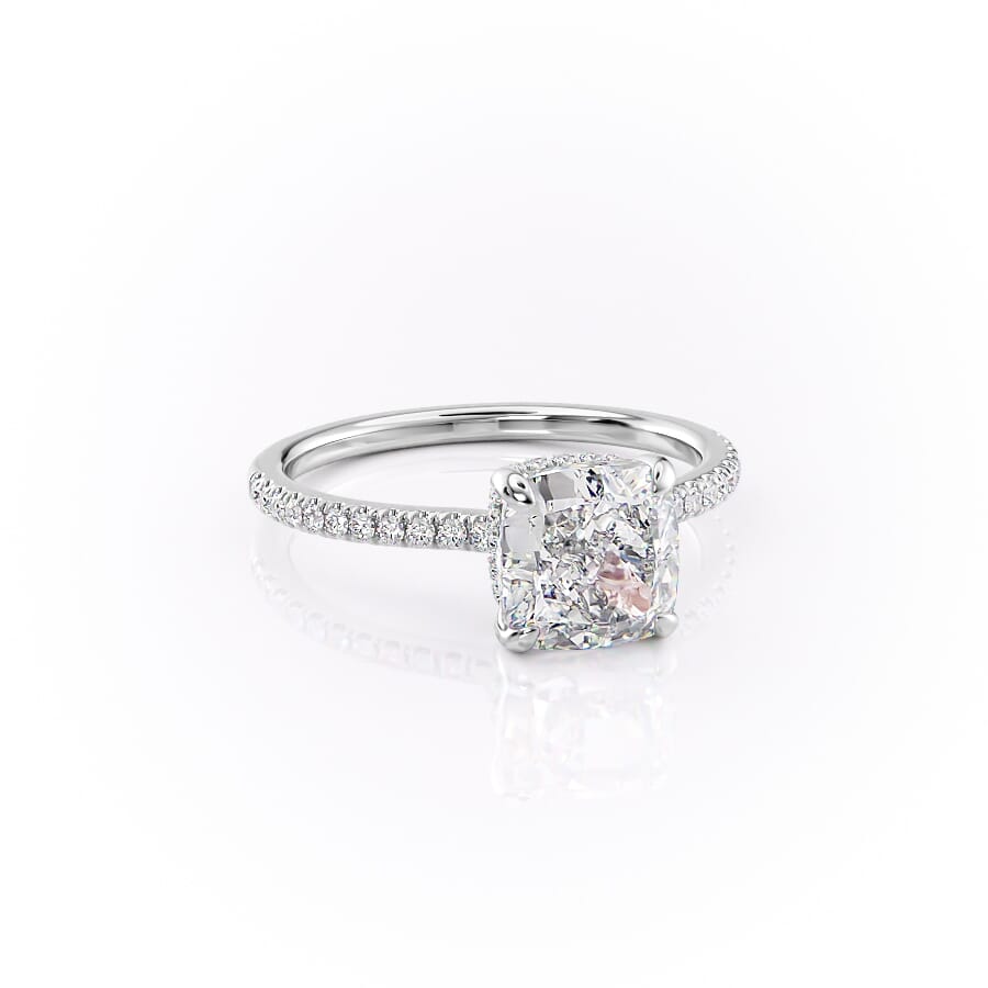 Halo y Pavé