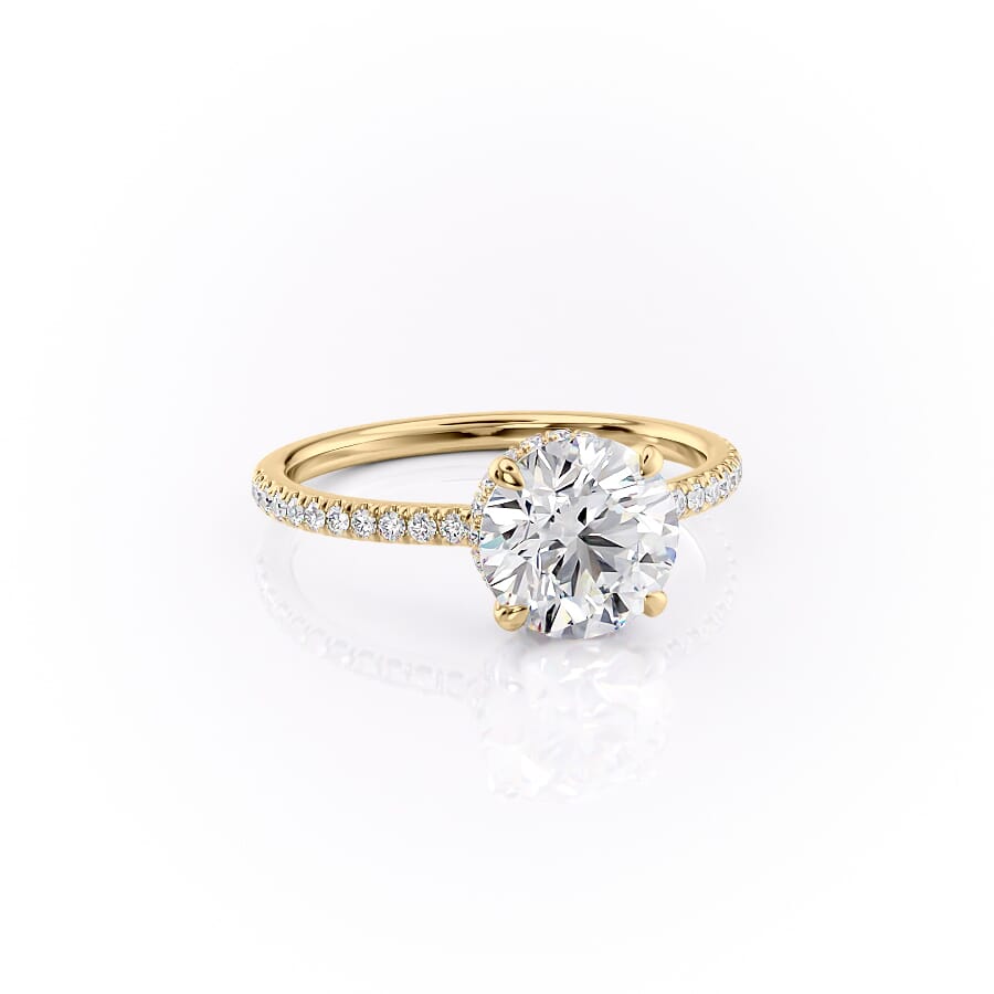 Halo y Pavé