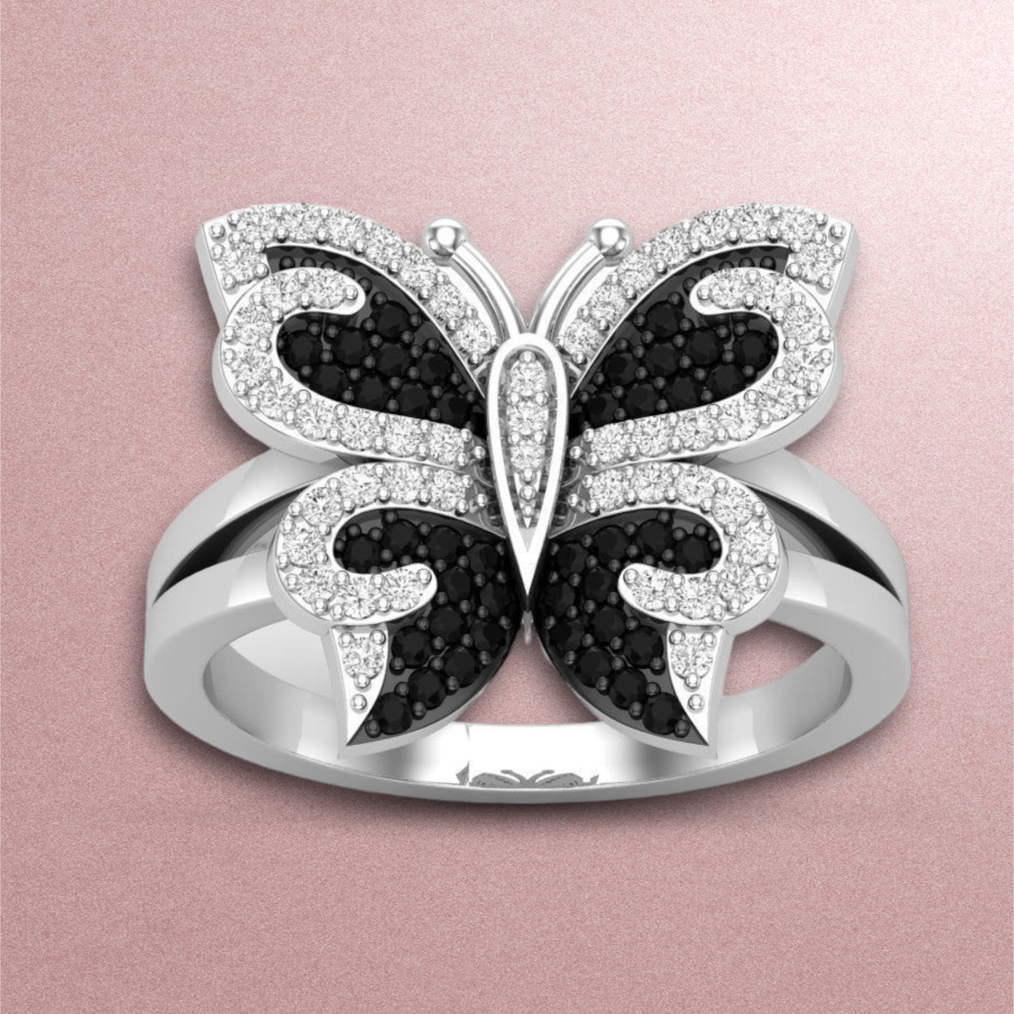 Butterfly colllection